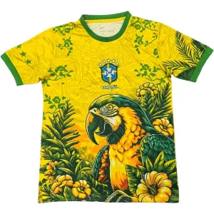 Brasilien Tröja 2026 - Brasilien Tröja 25/26 | trojzonen