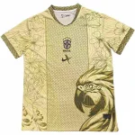 Brasilien Tröja 2026 | trojzonen