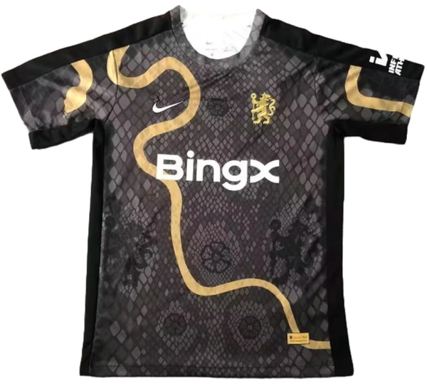 Chelsea Tröja 2025 2026 | trojzonen