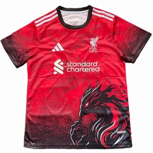 Liverpool Tröja 2025 2026 | trojzonen