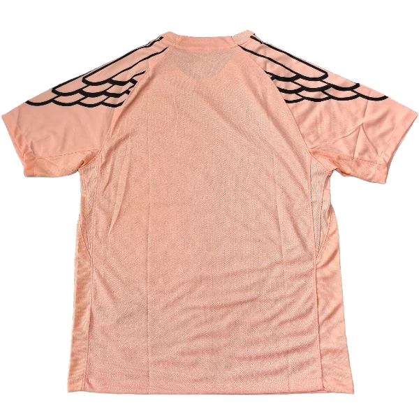 Paris Saint Germain Tröja 2025 2026 Rosa | trojzonen