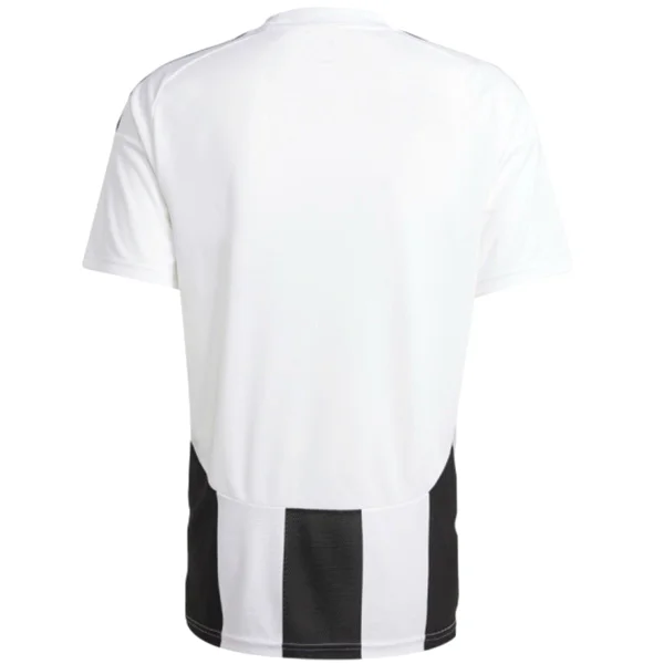 Tröja 2024 2025 - Beşiktaş JK Tröja 25/26 | trojzonen