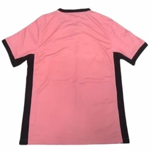 Paris Saint Germain Tröja 2024 2025 Rosa | trojzonen