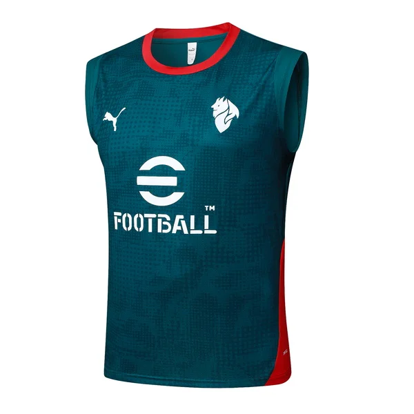 Tröja 2025 2026 - Träning Fotbollströja | trojzonen