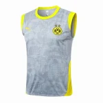 Borussia Dortmund Träning Tröja 2025 2026 - Borussia Dortmund Tröja 25/26 | trojzonen