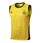 Borussia Dortmund Träning Tröja 2025 2026 - Borussia Dortmund Tröja 25/26 | trojzonen