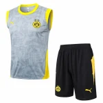 Borussia Dortmund Träning Matchställ 2025 2026 - Borussia Dortmund Hemmatröja | trojzonen