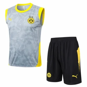 Borussia Dortmund Träning Matchställ 2025 2026 - Borussia Dortmund Hemmatröja | trojzonen