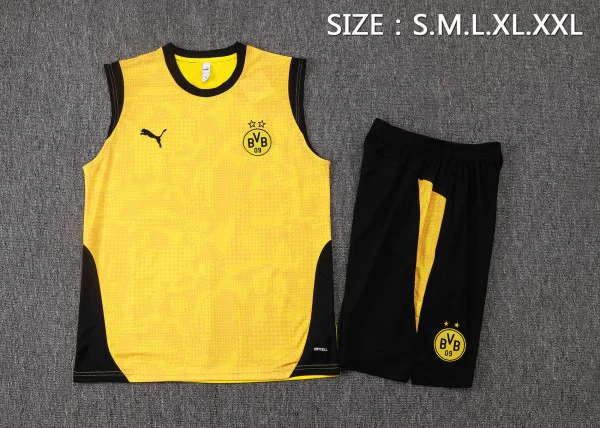 Borussia Dortmund Träning Matchställ 2025 2026 - Borussia Dortmund Hemmatröja | trojzonen