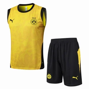 Borussia Dortmund Träning Matchställ 2025 2026 - Borussia Dortmund Hemmatröja | trojzonen