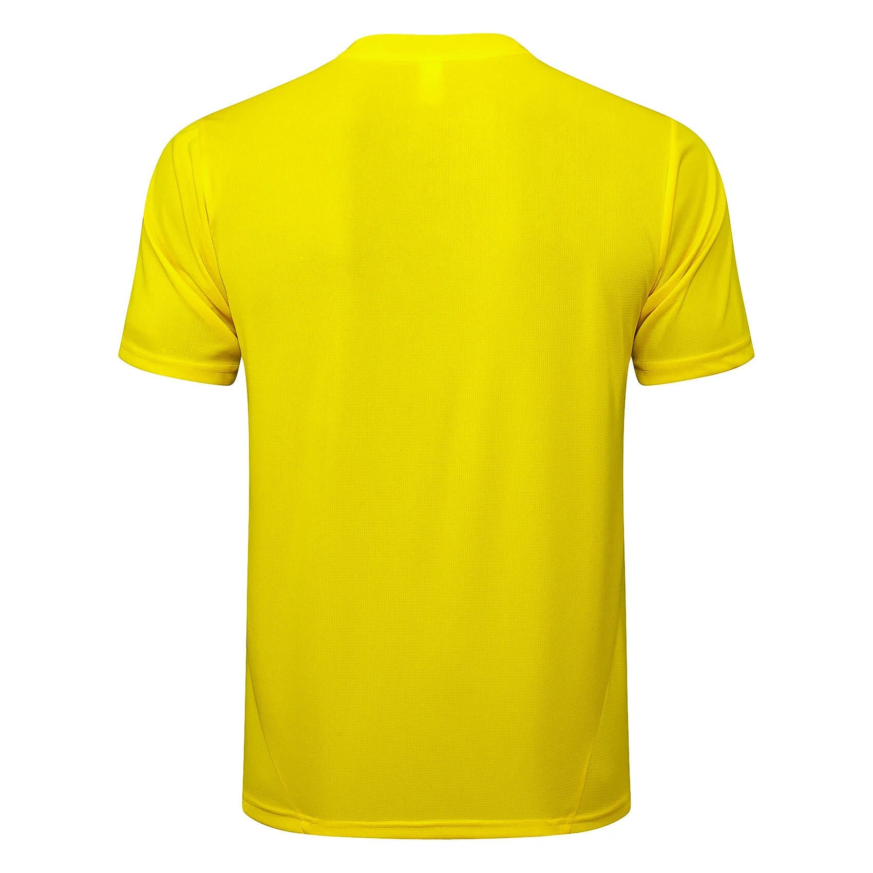 Tröja 2024 2025 - Träning Fotbollströja | trojzonen