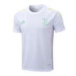 Tröja 2025 2026 Rosa - Träning Fotbollströja | trojzonen