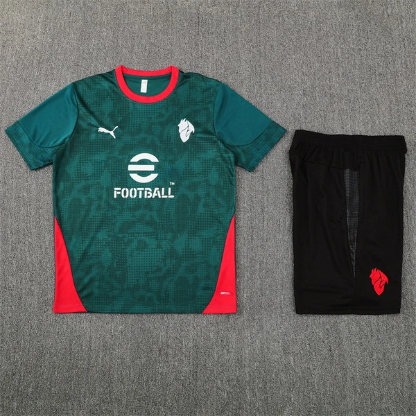 Tröja 2025 2026 - Träning Fotbollströja | trojzonen
