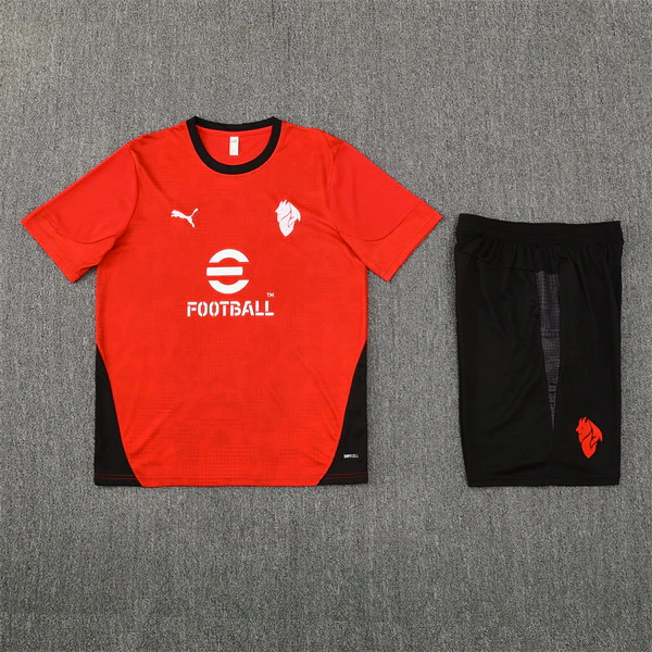 Tröja 2025 2026 - Träning Fotbollströja | trojzonen