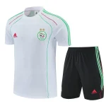 Algeriet Träning Matchställ 2026 - Algeriet Träning Hemmatröja | trojzonen
