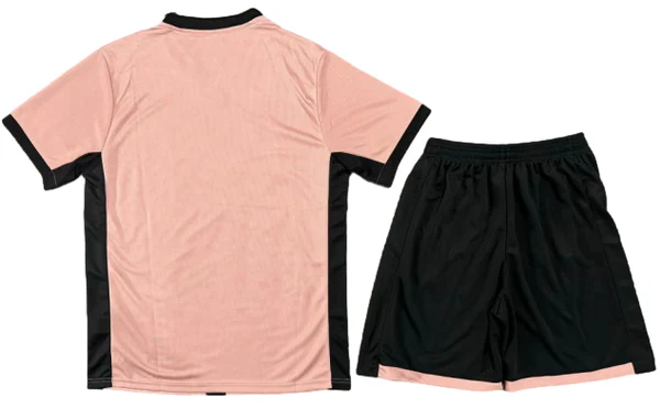 Paris Saint Germain Tröja 2024 2025 Rosa | trojzonen