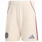 Ajax Tröja 2025 2026 | trojzonen