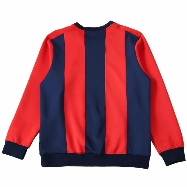 FC Barcelona Tröja 2025 2026 Röd - Top Fc Barcelona | trojzonen