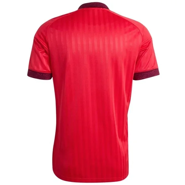 Lyon Tröja 2026 2027 Röd | trojzonen